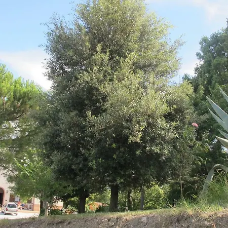 San Marino Al Coppo * Monte Grimano Terme